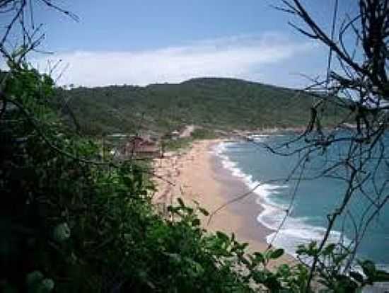 VISTA DA PRAIA-FOTO:TURISNAT. - PRAIA DO PINHO - NATURALISTA - SC