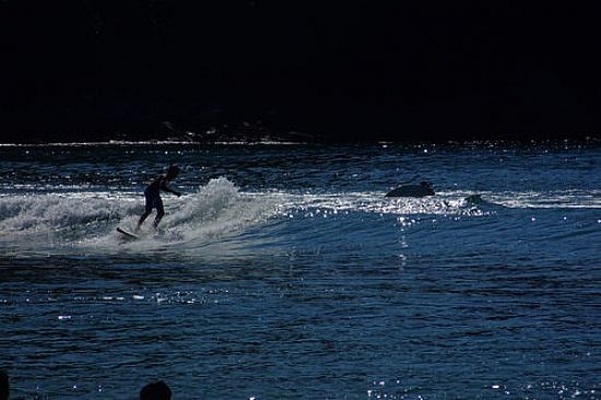 SURF EM PRAIA BRAVA-FOTO:ALINEB - PRAIA BRAVA - NATURALISTA - RJ
