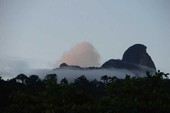 VISTA DO PICO DO FRADE EM PRAIA BRAVA-FOTO:CARLOS A MACHADO - PRAIA BRAVA - NATURALISTA - RJ