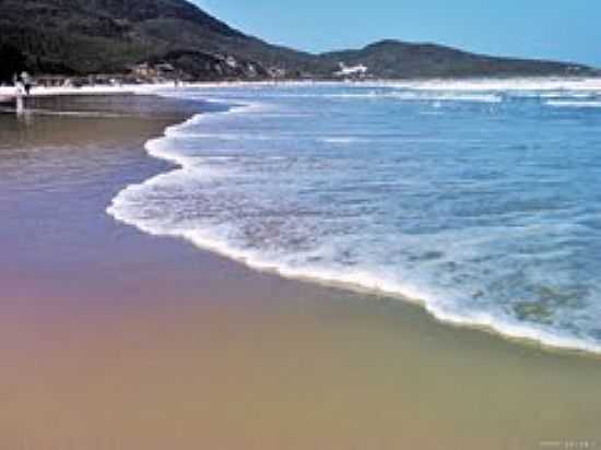 ESPUMANTE - PRAIA DA GALHETA-FOTO:MARLONGASPAR - PRAIA DA GALHETA  - NATURALISTA - SC