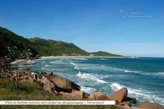 PRAIA DA GALHETA-FOTO:LITORALDESANTACATARINA. - PRAIA DA GALHETA  - NATURALISTA - SC