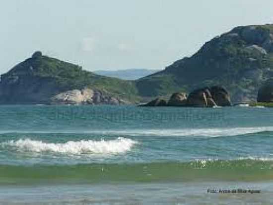 PRAIA DA GALHETA-FOTO:PRAIAILHADAMAGIA. - PRAIA DA GALHETA  - NATURALISTA - SC