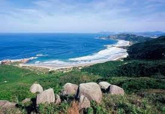 VISTA DA PRAIA-FOTO:FLORIANOPOLIS.MAISPERTO. - PRAIA DA GALHETA  - NATURALISTA - SC