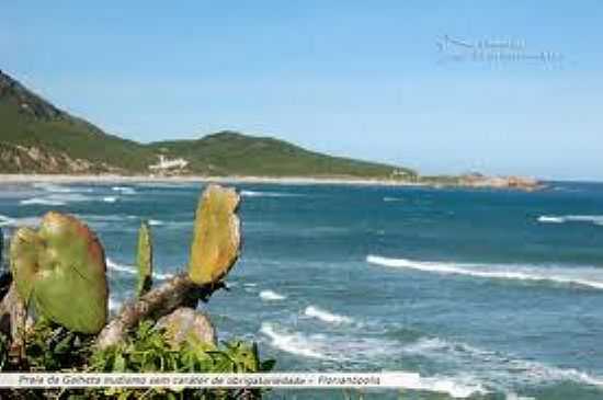 VISTA DA PRAIA-FOTO:LITORALDESANTACATARINA. - PRAIA DA GALHETA  - NATURALISTA - SC