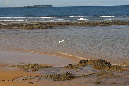 GARA NO MUT-FOTO:EDGARD THOMAS - PRAIA DA PONTA DO MUT - BA