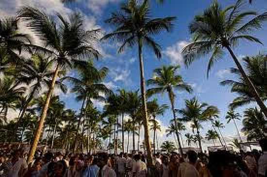 COQUEIRAL NA PRAIA DA BOMBAA-FOTO:MIXMAG. - PRAIA DA BOMBAA - BA