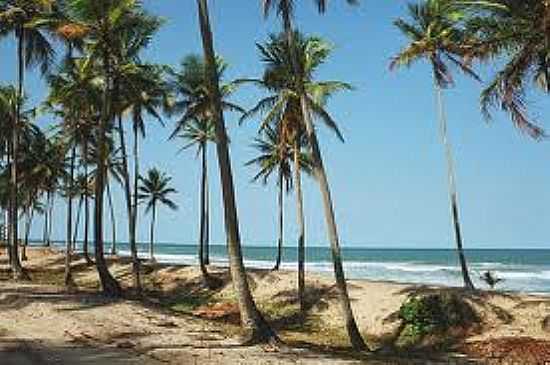 COQUEIROS NA PRAIA DO CASSANGE--FOTO:FLICKR. - PRAIA DE CASSANGE - BA