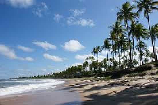 VISTA DA PRAIA-FOTO:EUAMOABAHIA. - PRAIA DE CASSANGE - BA