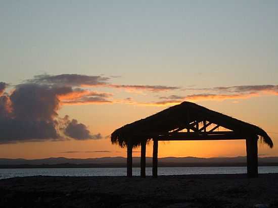 PR DO SOL EM BARRA DO SERINHAM-FOTO:FLORAFLOR4 - BARRA DO SERINHAEM - BA