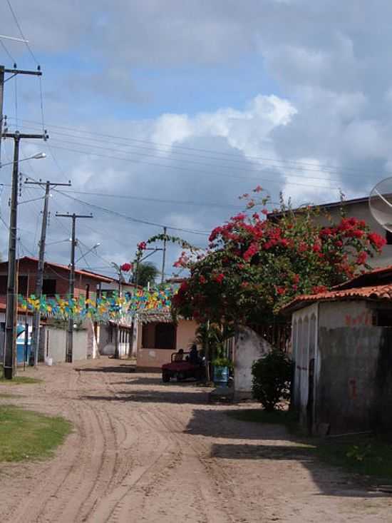 RUA PRINCIPAL-FOTO:FLORAFLOR4 - BARRA DO SERINHAEM - BA