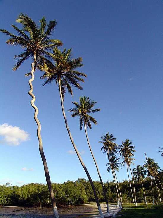 BARRA DO CUNHA - RN - BARRA DO CUNHA  - RN
