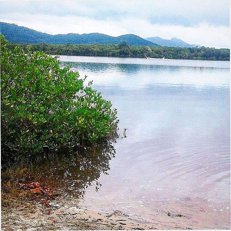 ILHA DO CARDOSO PERTENCE AO MUNICPIO DE CANANIA - SP - ILHA DO CARDOSO - SP