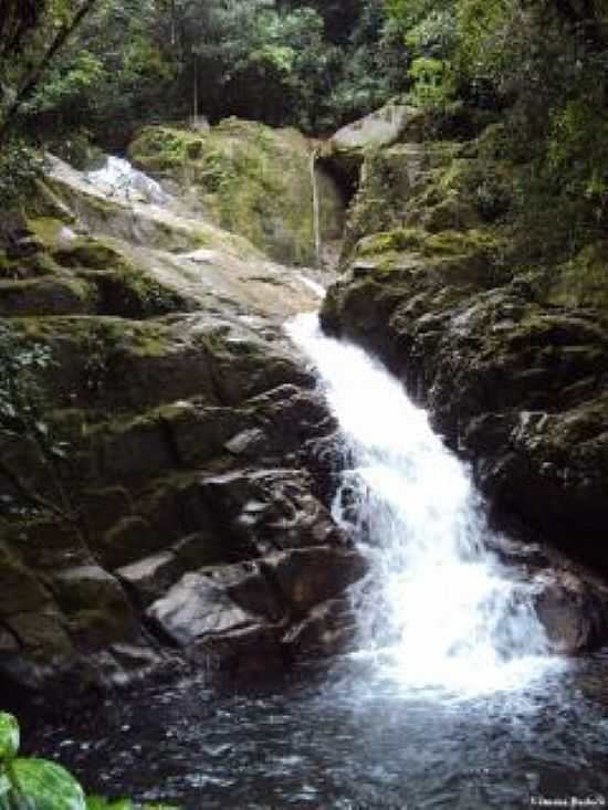 CACHOEIRA NA ILHA DO CARDOSO-FOTO:SORAYA LOTITO. - ILHA DO CARDOSO - SP