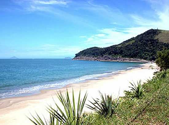 PRAIA DE SANTIAGO  - PRAIA DE SANTIAGO - SP