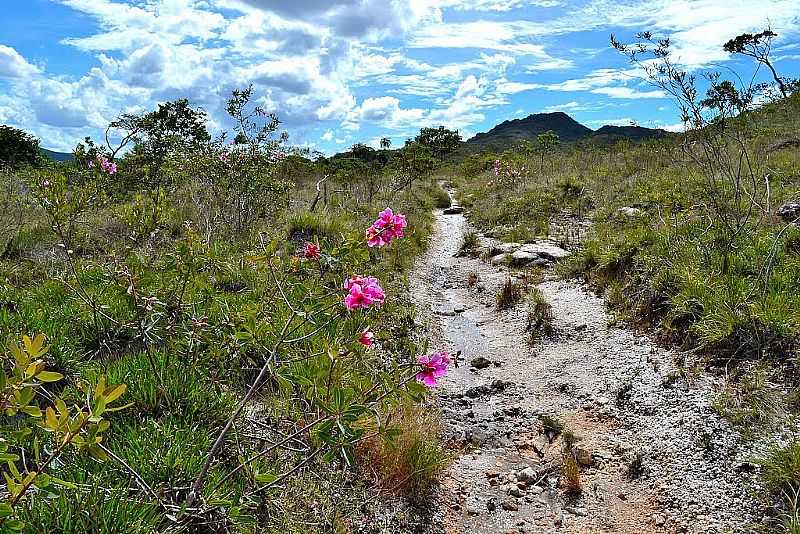 SERRA DO CIP-MG-TRILHA DAS CACHOEIRAS GAVIO E ANDORINHAS DENTRO DO PARQUE NACIONAL-FOTO:FLAVIO HANDERSON  - SERRA DO CIP - MG