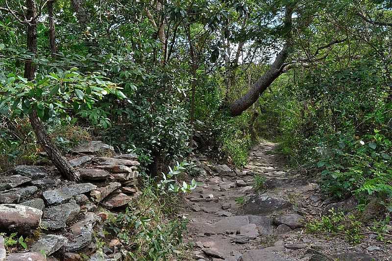 SERRA DO CIP-MG-TRILHA DAS CACHOEIRAS GAVIO E ANDORINHAS DENTRO DO PARQUE NACIONAL-FOTO:FLAVIO HANDERSON - SERRA DO CIP - MG