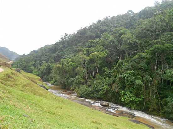 SO ROQUE DE MARAVILHA-ES-RIO E A FLORESTA-FOTO:REGINA BARCELOS - SO ROQUE DE MARAVILHA - ES