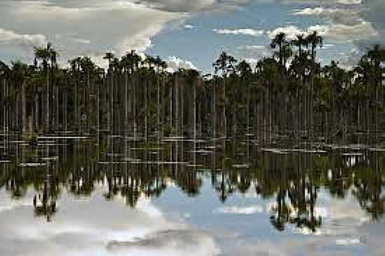 LAGOA DAS ARARAS EM ARARAS-MT-FOTO:FLICKR. - ARARAS - MT