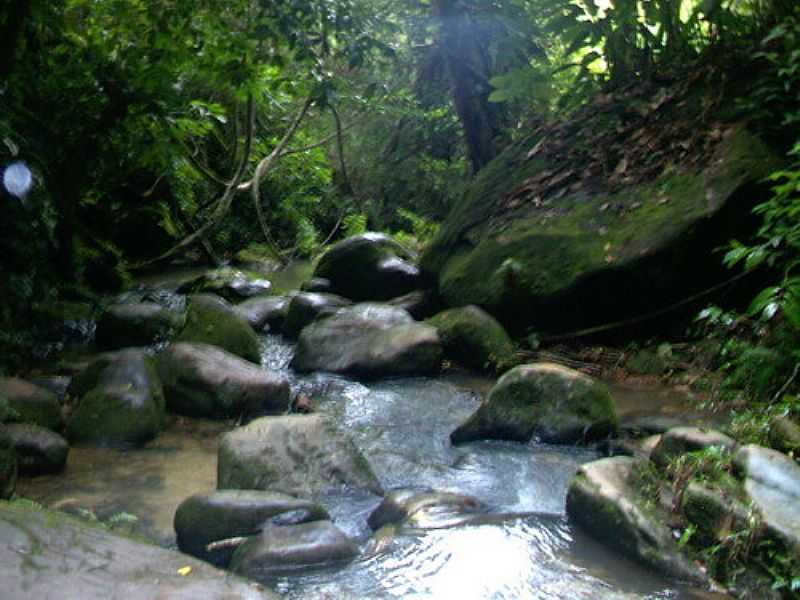 OLIVEIRA DOS CAMPINHOS-BA-CACHOEIRA-FOTO:BR.GEOVIEW.INFO - OLIVEIRA DOS CAMPINHOS - BA