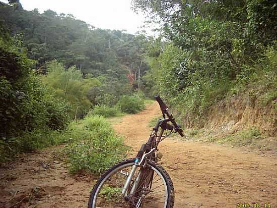 TRILHA EM OLIVEIRA DOS CAMPINHOS-BA-FOTO:OTAVIO NEVES CARDOSO - OLIVEIRA DOS CAMPINHOS - BA