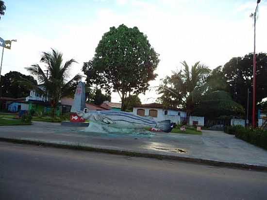 TRALHOTO, SMBOLO DA CIDADE DE ABADE-PA-FOTO:PEDRO PAULO - ABADE - PA