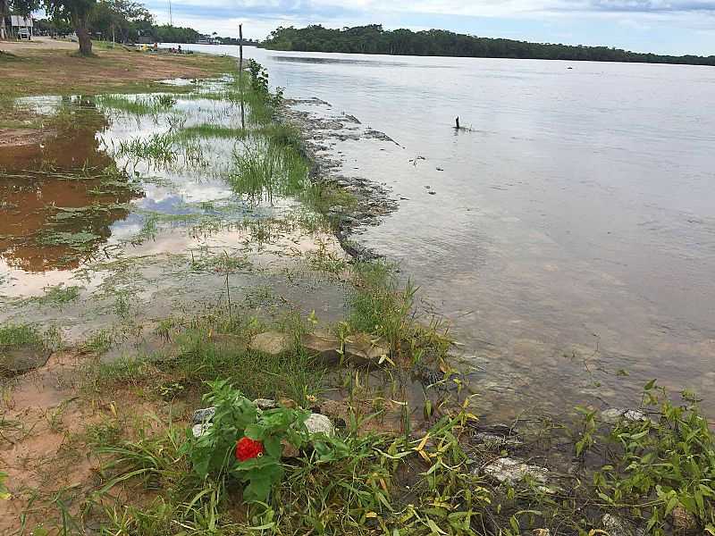 VENHA REALIZAR UM SONHO, PESCANDO NO RIO ARAGUAIA! - LUIZ ALVES - GO