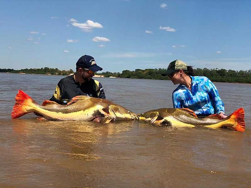 VENHA REALIZAR UM SONHO, PESCANDO NO RIO ARAGUAIA! - LUIZ ALVES - GO
