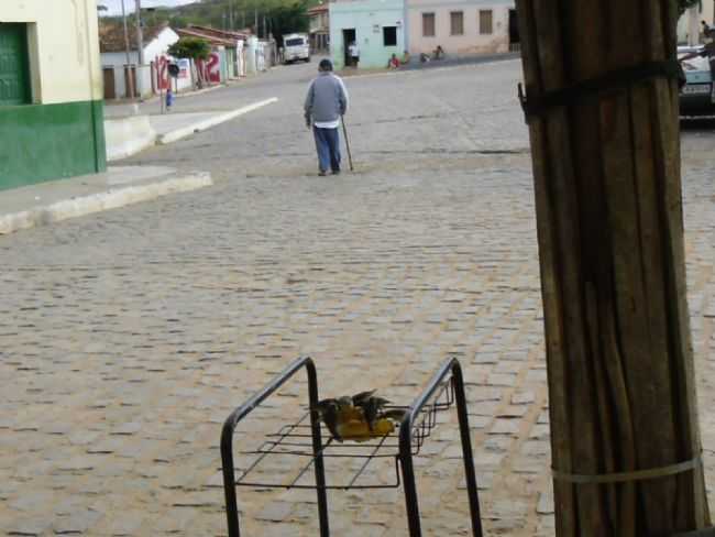 POR SIDINEI - SERRA DA CANABRAVA - BA