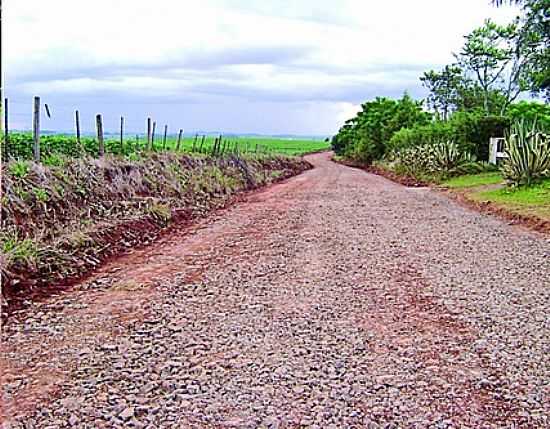 BOM RECREIO-RS-ESTRADA RURAL-FOTO:WWW.ONACIONAL.COM.BR - BOM RECREIO - RS