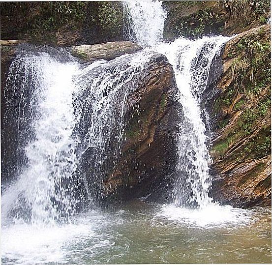 MACACOS-MG-CACHOEIRA DAS VINTE E SETE VOLTAS-FOTO:WWW.SOUNOVALIMA.COM.BR - MACACOS - MG