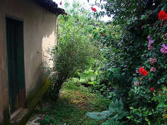 MACACOS-MG-FLORES NA CASA EM REA RURAL-FOTO:BARBOSA - MACACOS - MG