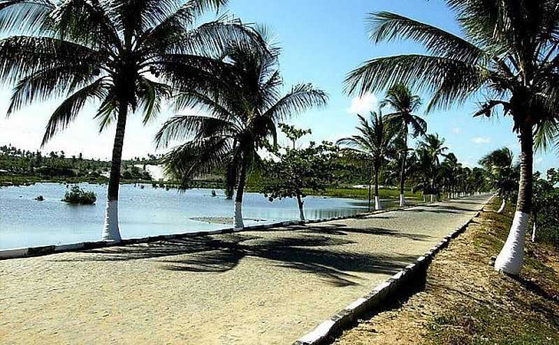 PRAIA DO BAIXIO-BA-LAGOA AZUL E COQUEIROS NA ENTRADA-FOTO:POUSADALAGOAAZULBAIX.WIX.COM  - PRAIA DO BAIXIO - BA