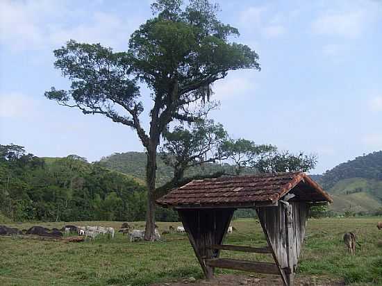 ALDEIA VELHA-RJ-REA RURAL-FOTO:ROBERTO NETTO - ALDEIA VELHA - RJ