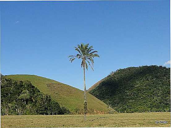 ALDEIA VELHA-RJ-BELA IMAGEM DA REGIO-FOTO:ROBERTO NETTO - ALDEIA VELHA - RJ