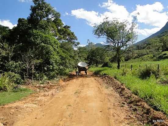 ALDEIA VELHA-RJ-ESTRADA EM REA RURAL-FOTO:ROBERTO NETTO  - ALDEIA VELHA - RJ