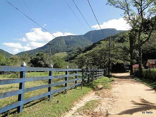 ALDEIA VELHA-RJ-ESTRADA EM REA RURAL-FOTO:ROBERTO NETTO - ALDEIA VELHA - RJ