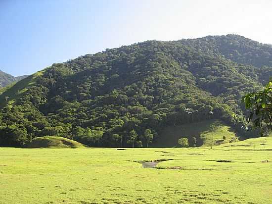 ALDEIA VELHA-RJ-RIO E PASTO-FOTO:ARCABUZ - ALDEIA VELHA - RJ