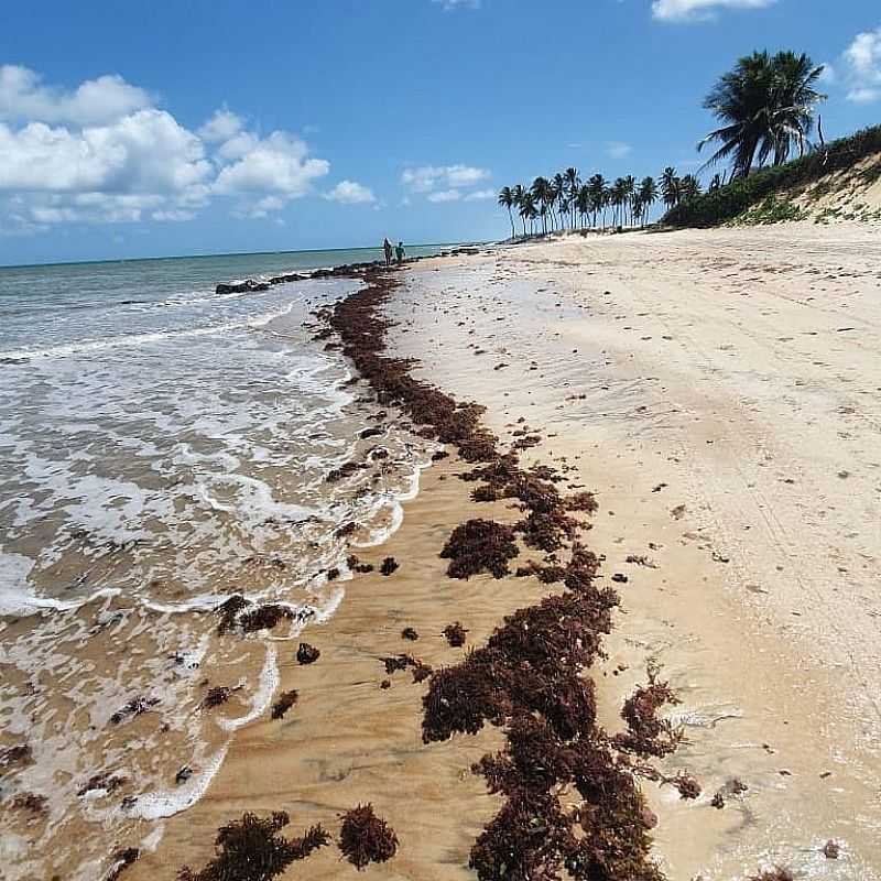 IMAGENS DA PRAIA DE MARACAJA - RN - PRAIA DE MARACAJA - RN