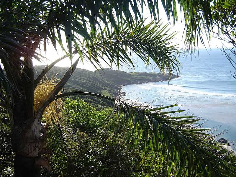 IMAGENS DA PRAIA DA GUARDA DO EMBA - SC - PRAIA DA GUARDA DO EMBA  - SC