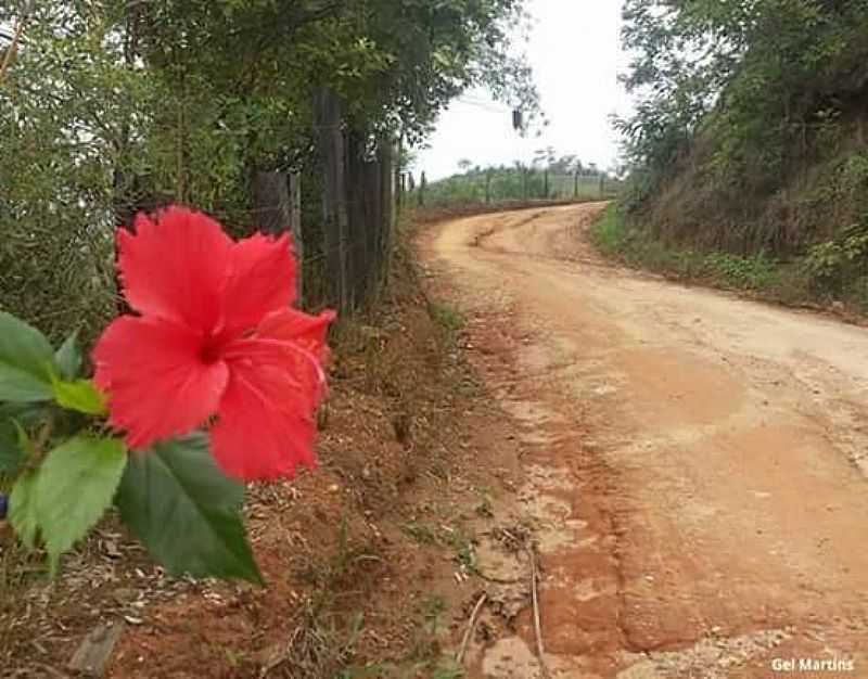 SERRA PRETA - BAHIA - SERRA PRETA - BA