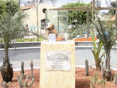 HOMENAGEM AOS VAQUEIROS, POR VERA VIANA - SERRINHA - BA