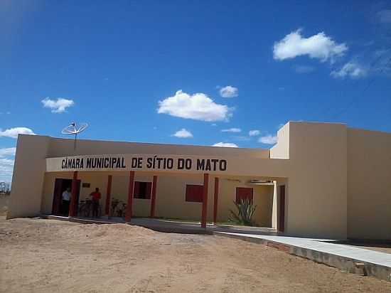 STIO DO MATO-BA-CMARA MUNICIPAL-FOTO:AMARILDO VARELA - STIO DO MATO - BA