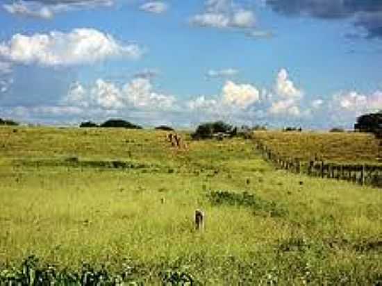 VEGETAO NA REA RURAL EM STIO DO MATO-FOTO:WIKIPDIA - STIO DO MATO - BA