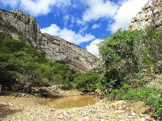 LEITO DE RIO EM STIO DO MEIO-BA-FOTO:HEBERTEGUEDES - STIO DO MEIO - BA