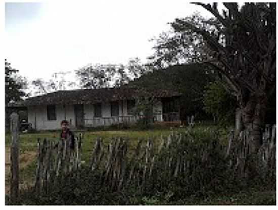 FAZENDA CARIT EM STIO DO QUINTO-BA-FOTO:ADRIANO CARVALHO - STIO DO QUINTO - BA