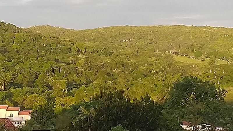 IMAGENS DO DISTRITO DE STIO NOVO MUNICPIO DE CATU/BA - STIO NOVO - BA