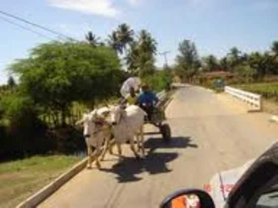 CARRO DE BOI EM TABOCAS DO BREJO VELHO-FOTO: LEYDYNHA - TABOCAS DO BREJO VELHO - BA