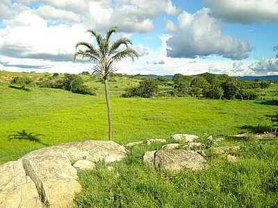 PAISAGEM-FOTO:MARCELO TCHESCO  - TAMBURIL - BA