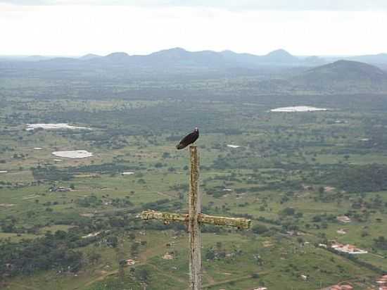 URUBU NO MORRO DE TANQUINHO  POR GLASERJOKL - TANQUINHO - BA