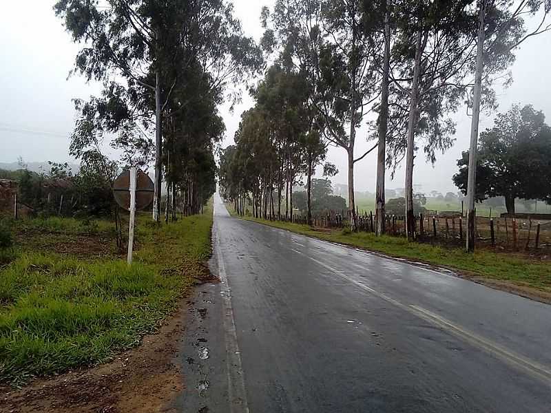 IMAGENS DA CIDADE DE TAPIRAMUT - BA - TAPIRAMUT - BA